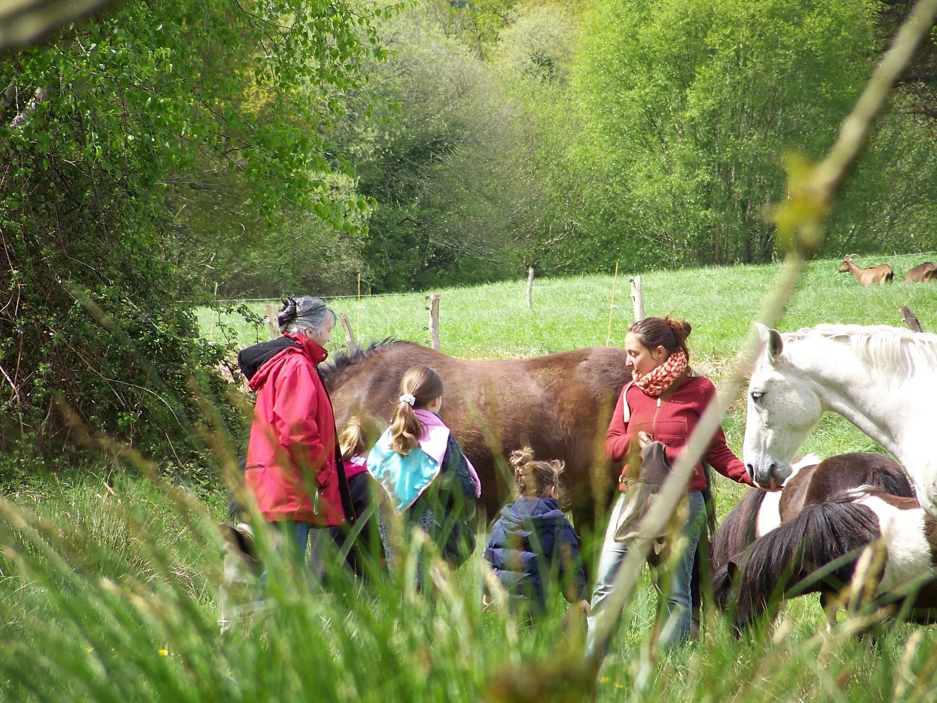 Jessica accompagne une rencontre entre adultes, enfants et chevaux dans une prairie.